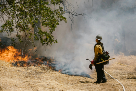 Image for Prepare Your Property for Wildfire